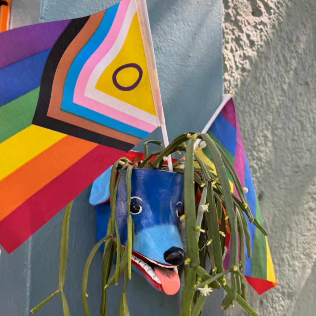 It’s always Pride in Mexico City.